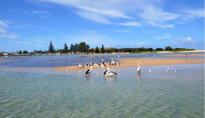 Bay House Motel บาโทเบย์ ภายนอก รูปภาพ